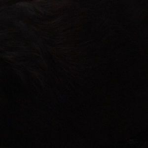 Meet your Posher, Fanny